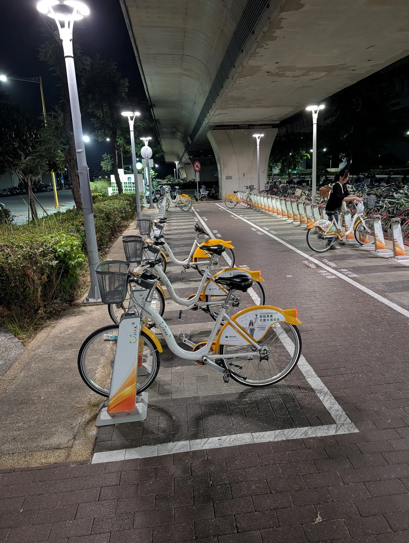 夜の駐輪ポートに並ぶYouBike