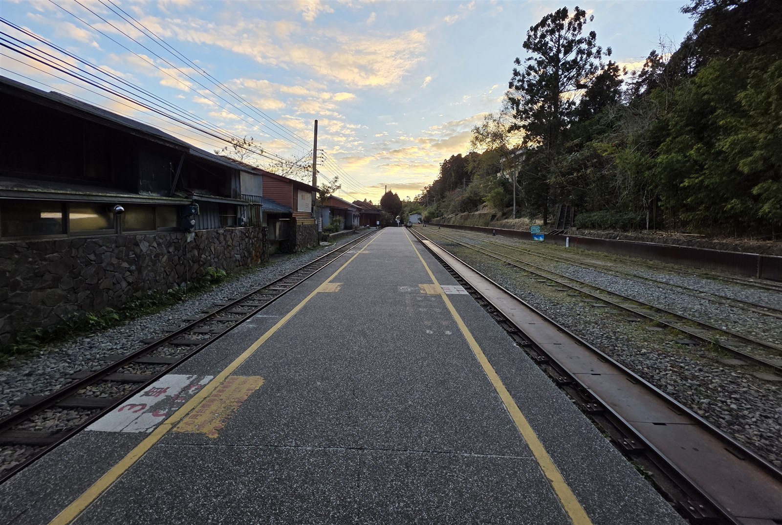 Alishan & Fenqihu in 2 Days: An Overnight Mountain Plan